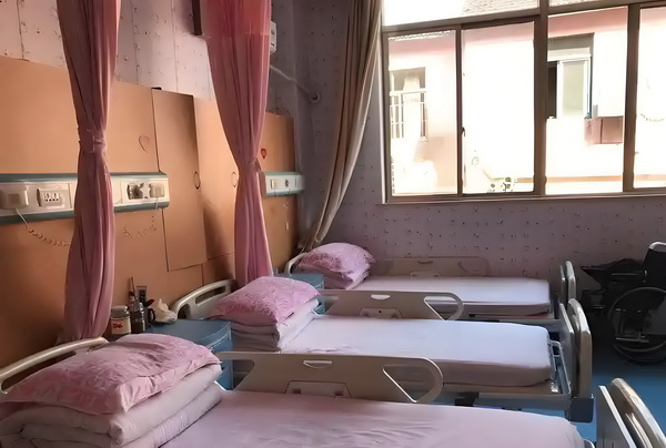 痞女穿越记：混混小丫鬟